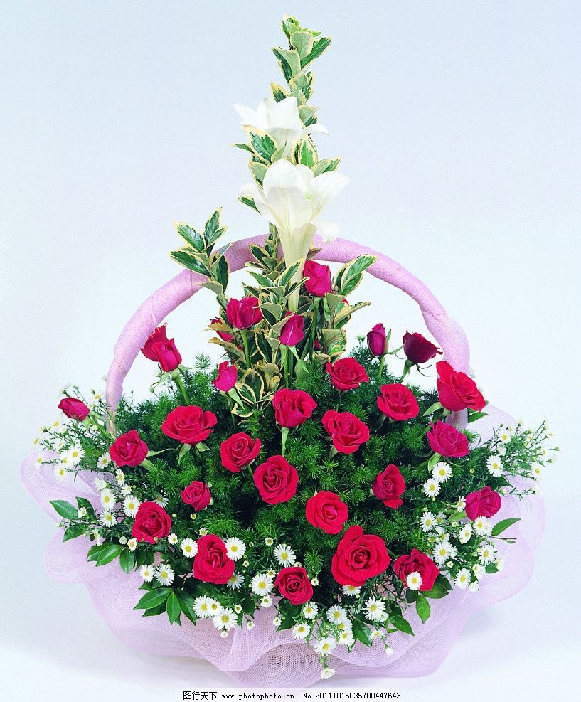 玫瑰花篮 插花 玫瑰花束 玫瑰花高清图片 玫瑰 玫瑰花 花朵 花素材 花苞 红玫瑰 花 花卉 红花 粉红玫瑰 花束 情人节 花草 生物世界 高清图片 摄影 300DPI 植物 JPG 植物花卉之玫瑰 305DPI