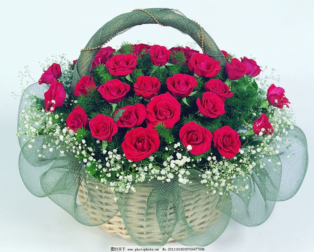 玫瑰花篮 插花 玫瑰花束 玫瑰花高清图片 玫瑰 玫瑰花 花朵 花素材 花苞 红玫瑰 花 花卉 红花 粉红玫瑰 花束 情人节 花草 生物世界 高清图片 摄影 300DPI 植物 JPG 植物花卉之玫瑰 305DPI