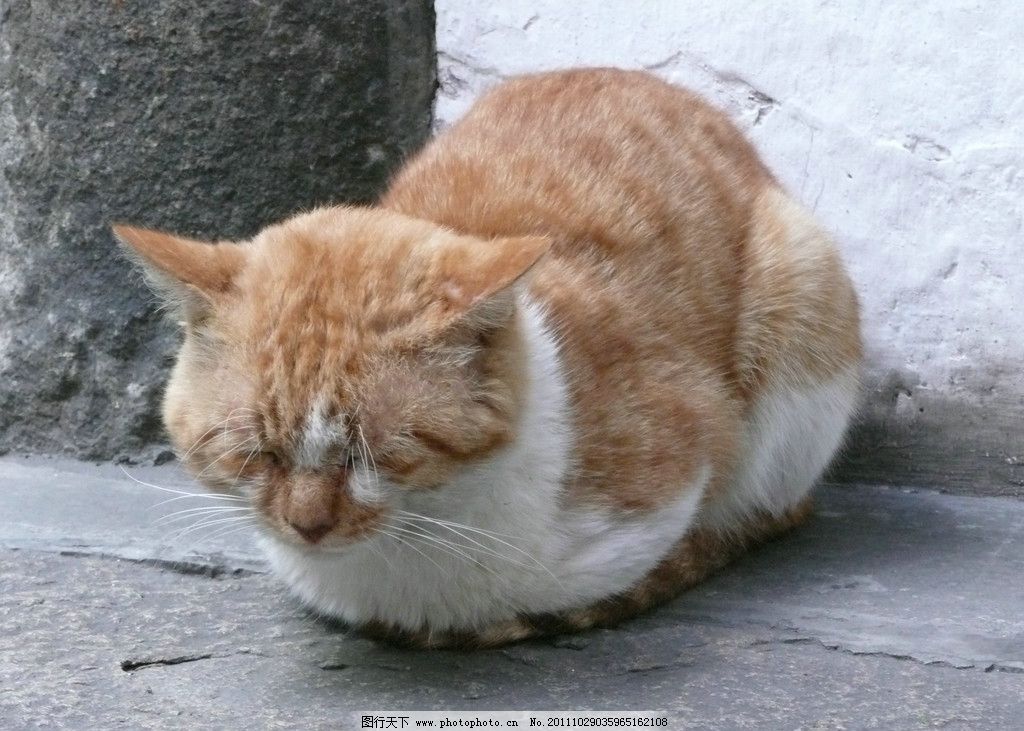 橡皮泥手工制作火爆辣椒