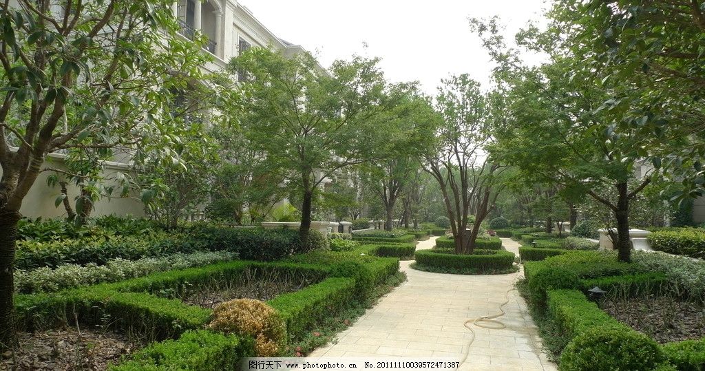 小区道路 欧式 园林 别墅 房地产 豪宅 景观 绿化 植物 灌木