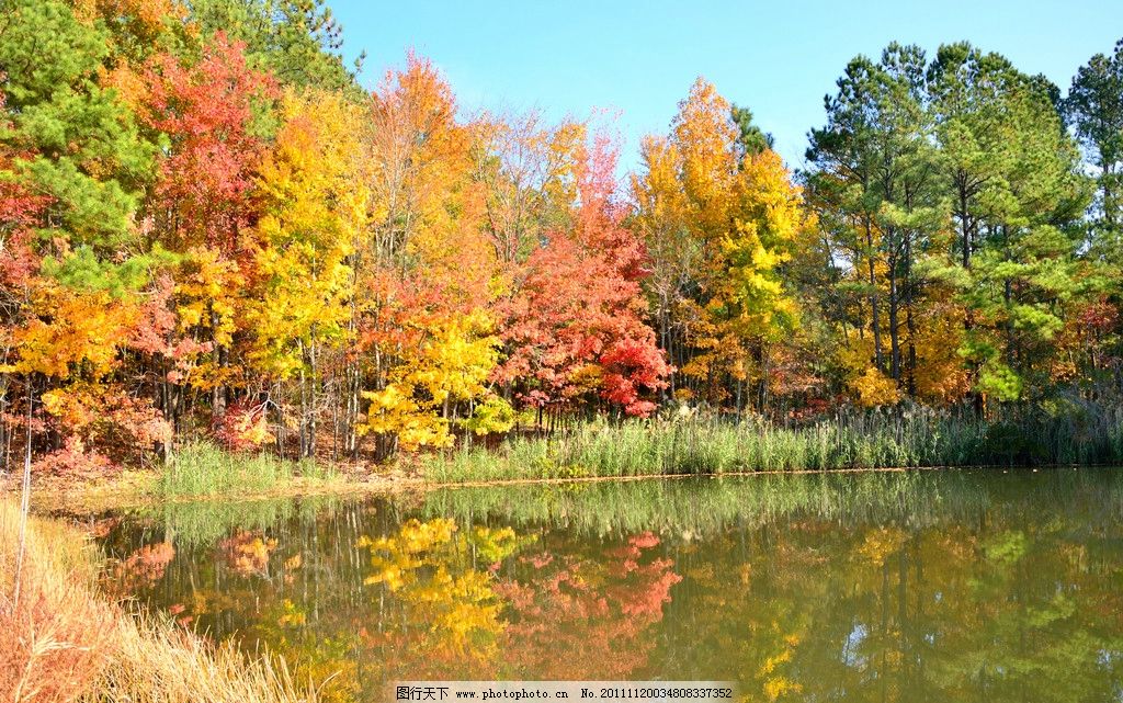 秋季风景图片大全-图片大全风景清新自然|中国最美山水风景图片|竹林