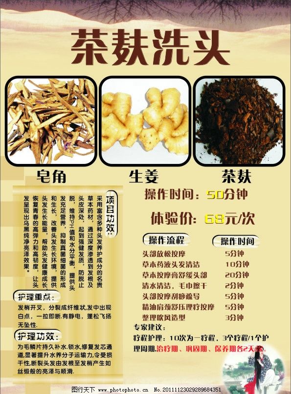 茶麸洗头图片