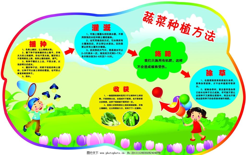 幼儿园种植蔬菜塑料瓶