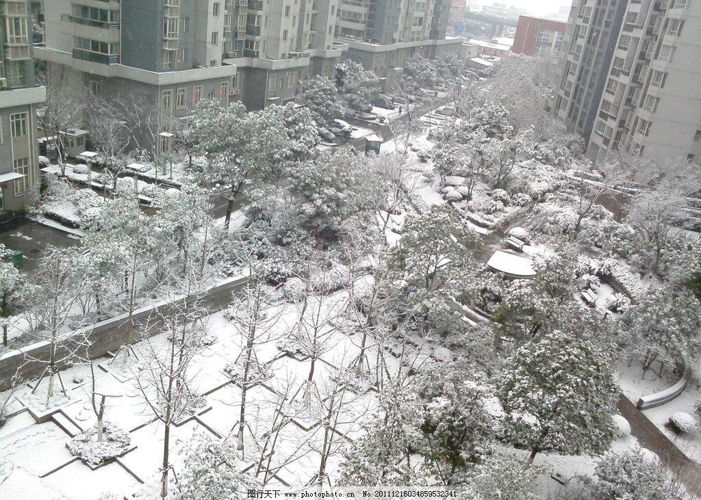 城市雪景 城市风景 小区 飘雪 绿化 朦胧 高楼 白色 自然风景