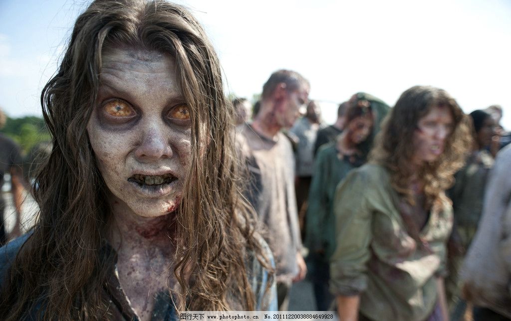 美剧行尸走肉图片